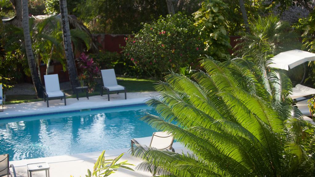 Eva Luna Villas Las Terrenas Dış mekan fotoğraf